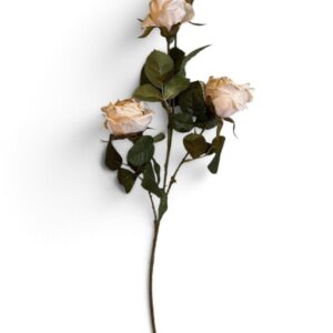 Antique Cream Rose Spray