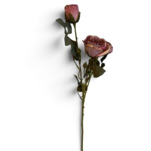 Antique Pink Rose Spray