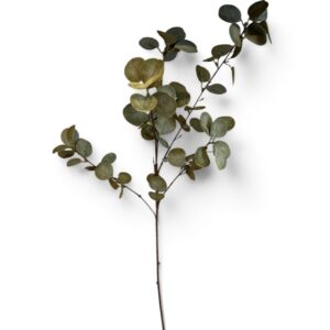 Everlasting Eucalyptus Spray